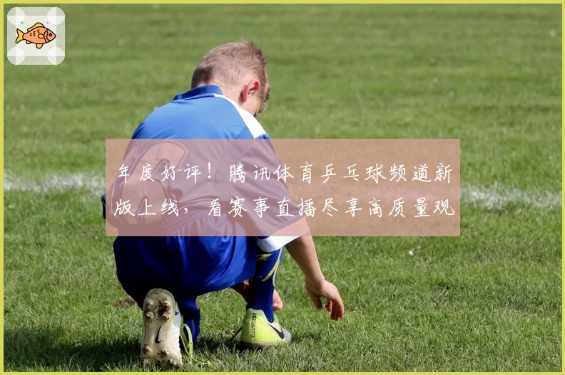 年度好评！腾讯体育乒乓球频道新版上线，看赛事直播尽享高质量观赛体验